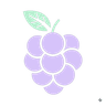 BerryNoon Logo