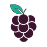 BerryNoon
